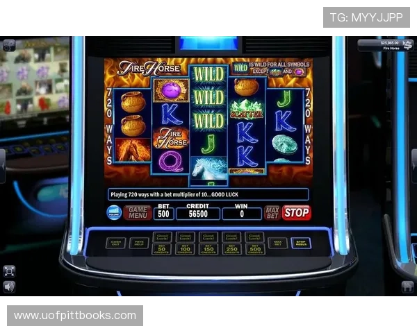 结合老虎机 wild的策略与技巧打造属于你的稳赢游戏方案提升整体收益