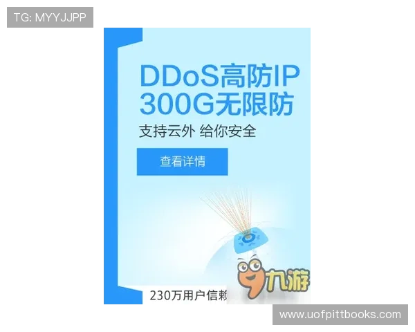 全面解析mg4355电子娱乐的安全保障措施确保玩家资金与信息安全的实用指南