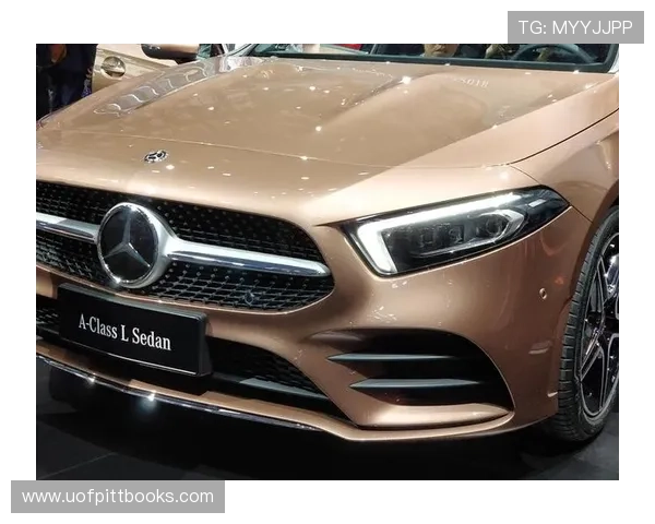 奔驰宝马赌博案件的法律责任与打击措施，普通用户应如何自我保护